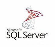MS OVL SQL Core Lic/SA ADD 1Y1Y GOV [D]