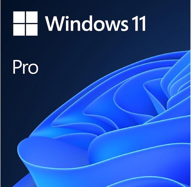 CSP Windows 11 Pro N Upgrade EDU [P]