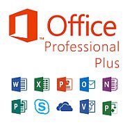 MS OVL Office Pro Plus Lic/SA ADD 3Y1Y CHRTY [NL]