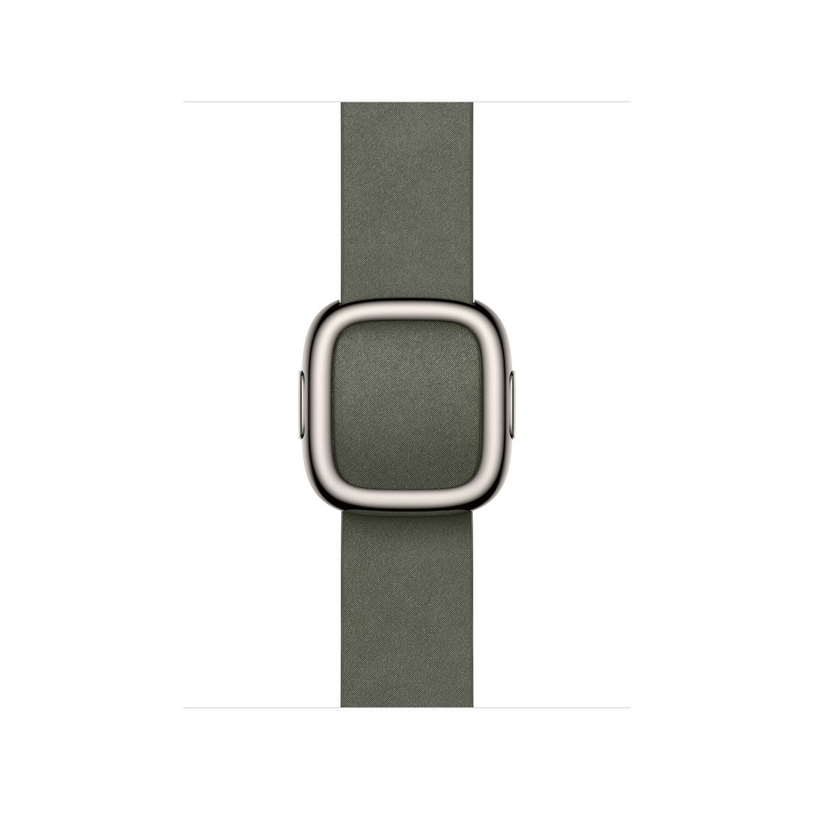 Apple Watch 42mm Modern Buckle: Sage Gray Modern Buckle - Medium