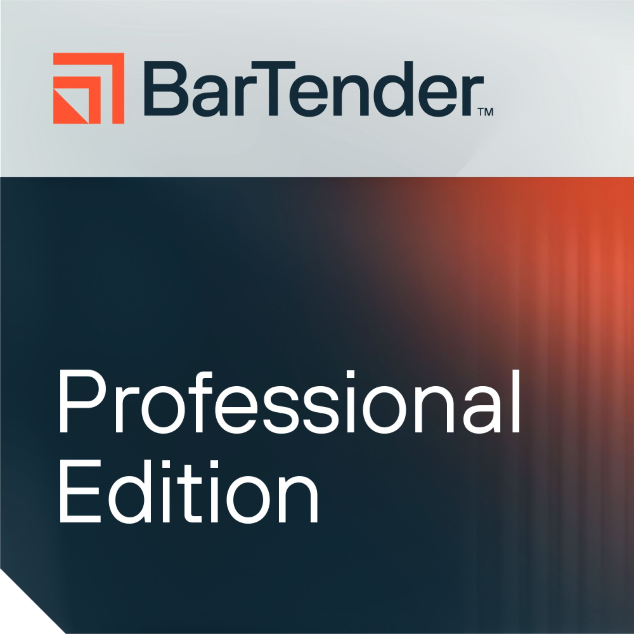 Seagull BarTender 2022 Professional, workstation maintenance and support, 3 Years